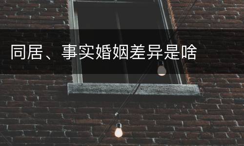 同居、事实婚姻差异是啥