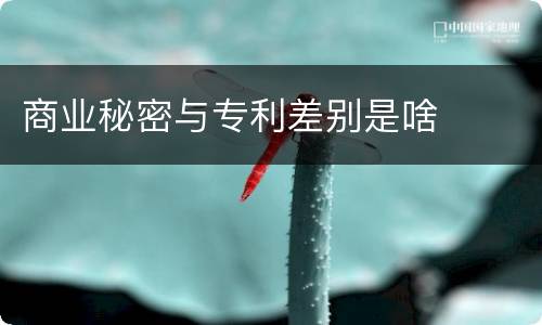 商业秘密与专利差别是啥