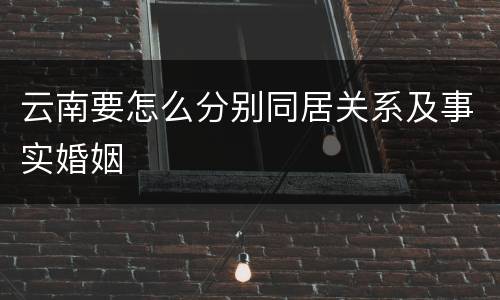 云南要怎么分别同居关系及事实婚姻