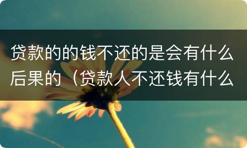 贷款的的钱不还的是会有什么后果的（贷款人不还钱有什么后果）