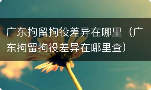 广东拘留拘役差异在哪里（广东拘留拘役差异在哪里查）
