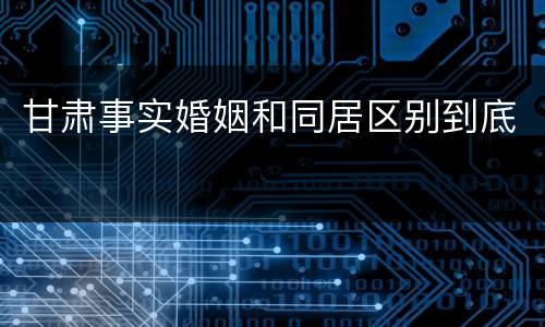 甘肃事实婚姻和同居区别到底