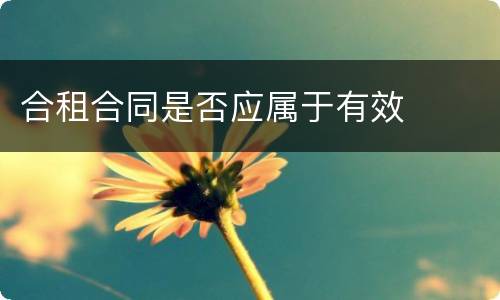 合租合同是否应属于有效