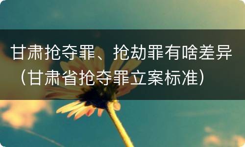 甘肃抢夺罪、抢劫罪有啥差异（甘肃省抢夺罪立案标准）