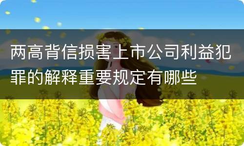 两高背信损害上市公司利益犯罪的解释重要规定有哪些