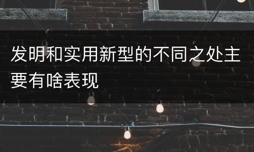 发明和实用新型的不同之处主要有啥表现