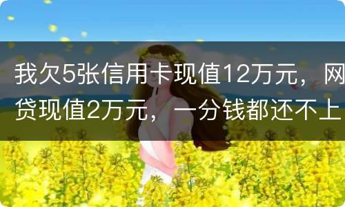 我欠5张信用卡现值12万元，网贷现值2万元，一分钱都还不上了，会判多少年