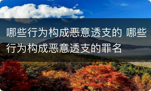 哪些行为构成恶意透支的 哪些行为构成恶意透支的罪名