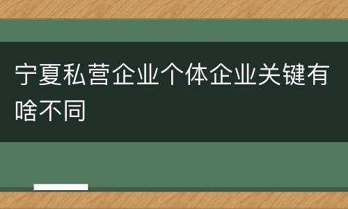 宁夏私营企业个体企业关键有啥不同