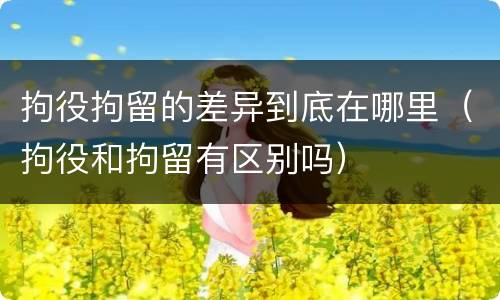 拘役拘留的差异到底在哪里（拘役和拘留有区别吗）