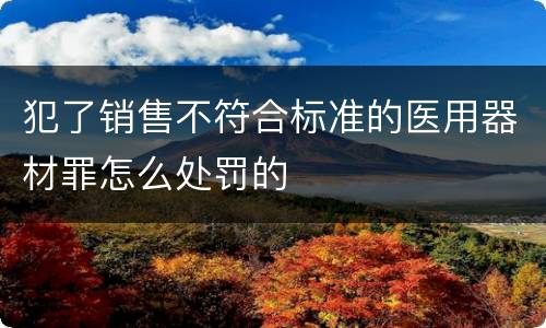 犯了销售不符合标准的医用器材罪怎么处罚的