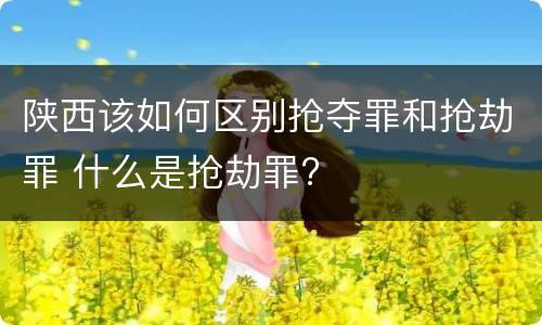 陕西该如何区别抢夺罪和抢劫罪 什么是抢劫罪?