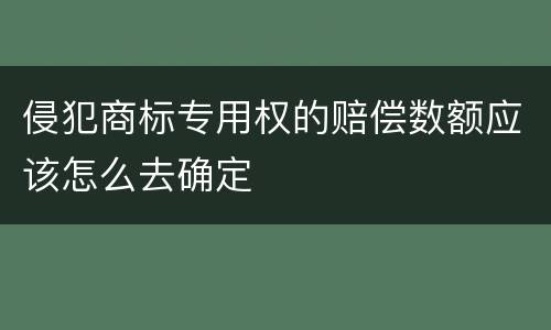 侵犯商标专用权的赔偿数额应该怎么去确定