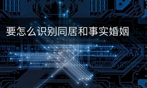 要怎么识别同居和事实婚姻