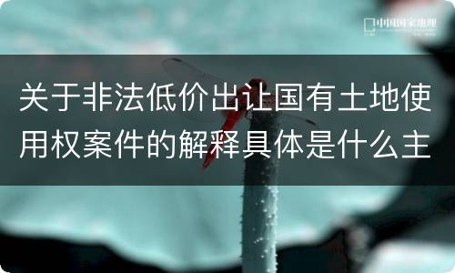 关于非法低价出让国有土地使用权案件的解释具体是什么主要规定
