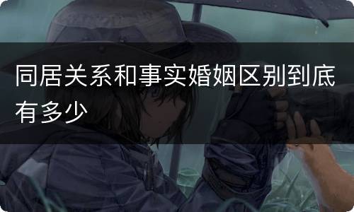 同居关系和事实婚姻区别到底有多少