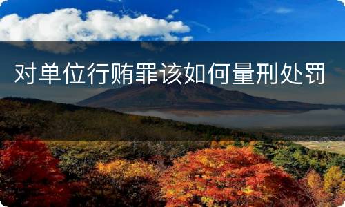 对单位行贿罪该如何量刑处罚