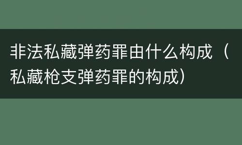 非法私藏弹药罪由什么构成（私藏枪支弹药罪的构成）