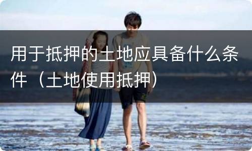 用于抵押的土地应具备什么条件（土地使用抵押）
