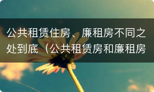 公共租赁住房、廉租房不同之处到底（公共租赁房和廉租房）