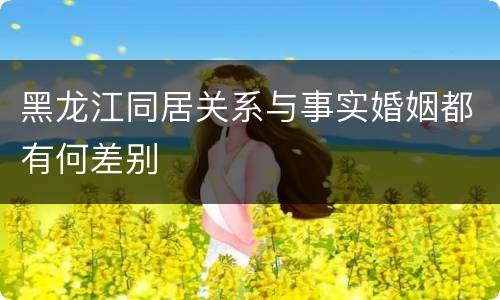 黑龙江同居关系与事实婚姻都有何差别