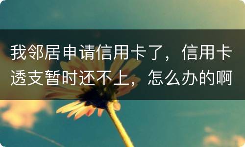 我邻居申请信用卡了，信用卡透支暂时还不上，怎么办的啊