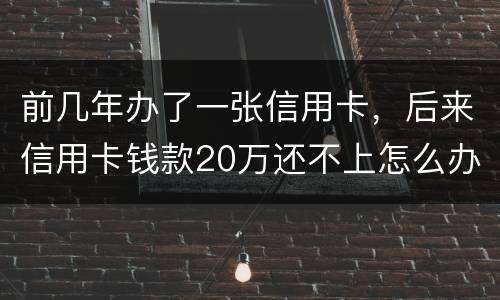 前几年办了一张信用卡，后来信用卡钱款20万还不上怎么办。