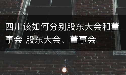 四川该如何分别股东大会和董事会 股东大会、董事会