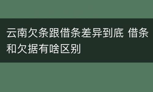 云南欠条跟借条差异到底 借条和欠据有啥区别