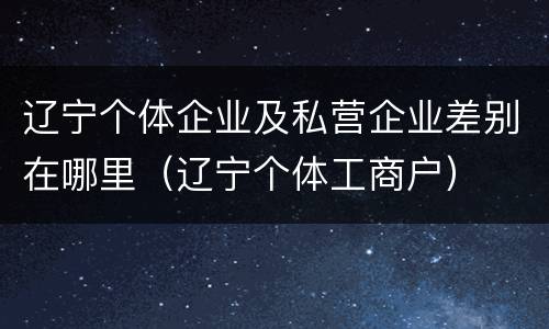 辽宁个体企业及私营企业差别在哪里（辽宁个体工商户）