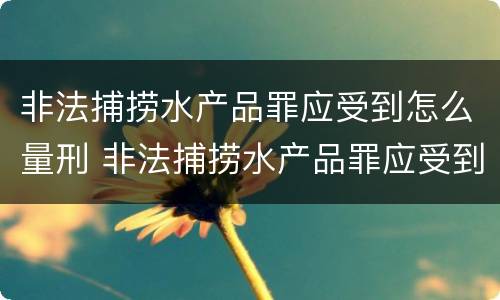 非法捕捞水产品罪应受到怎么量刑 非法捕捞水产品罪应受到怎么量刑呢