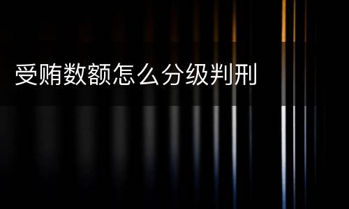 受贿数额怎么分级判刑