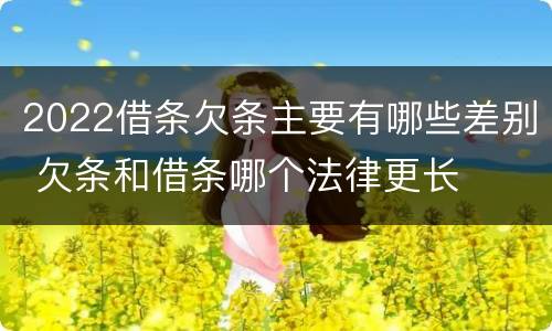 2022借条欠条主要有哪些差别 欠条和借条哪个法律更长