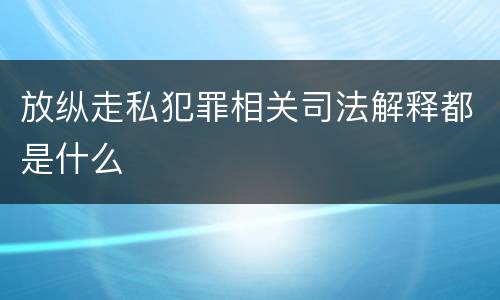 放纵走私犯罪相关司法解释都是什么