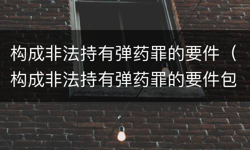 构成非法持有弹药罪的要件（构成非法持有弹药罪的要件包括）