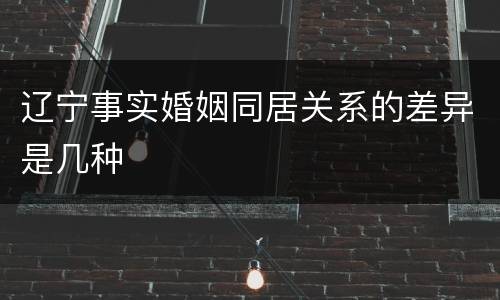辽宁事实婚姻同居关系的差异是几种