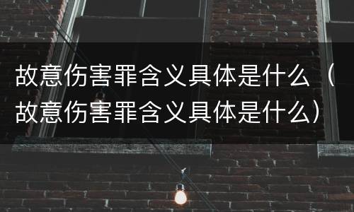 故意伤害罪含义具体是什么（故意伤害罪含义具体是什么）