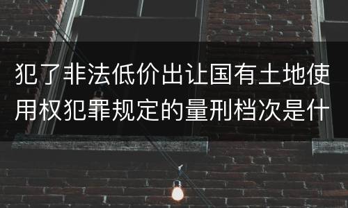 犯了非法低价出让国有土地使用权犯罪规定的量刑档次是什么
