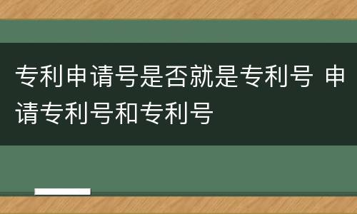专利申请号是否就是专利号 申请专利号和专利号