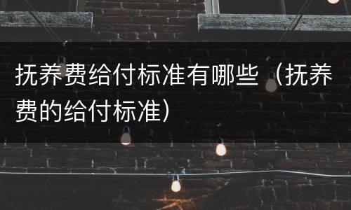 抚养费给付标准有哪些（抚养费的给付标准）
