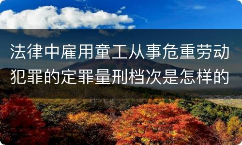 法律中雇用童工从事危重劳动犯罪的定罪量刑档次是怎样的
