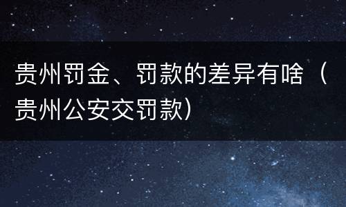 贵州罚金、罚款的差异有啥（贵州公安交罚款）