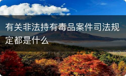 有关非法持有毒品案件司法规定都是什么
