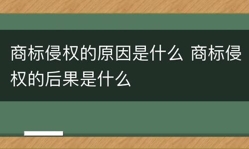 商标侵权的原因是什么 商标侵权的后果是什么