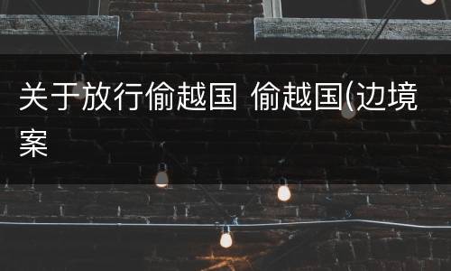 关于放行偷越国 偷越国(边境案