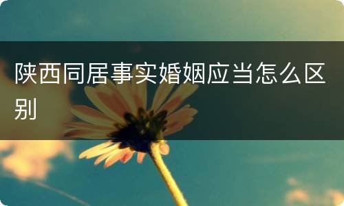 陕西同居事实婚姻应当怎么区别