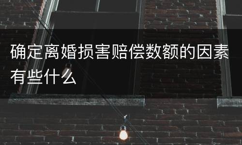 确定离婚损害赔偿数额的因素有些什么