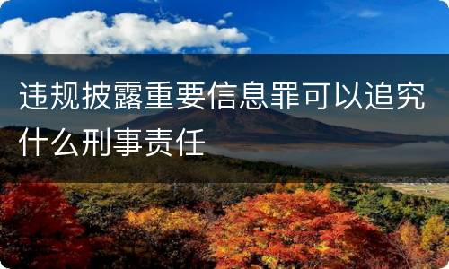 违规披露重要信息罪可以追究什么刑事责任
