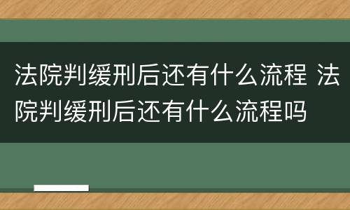 法院判缓刑后还有什么流程 法院判缓刑后还有什么流程吗