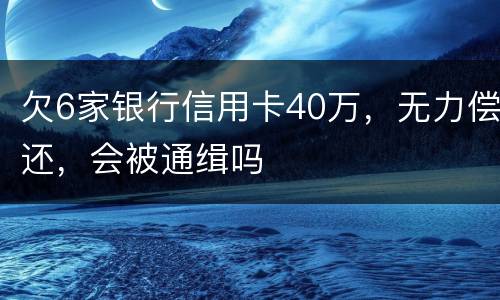 欠6家银行信用卡40万，无力偿还，会被通缉吗
